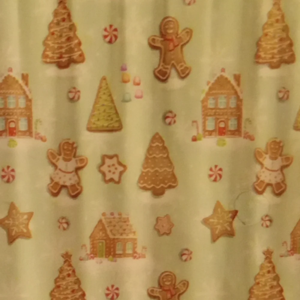 Avanti festive gingerbread